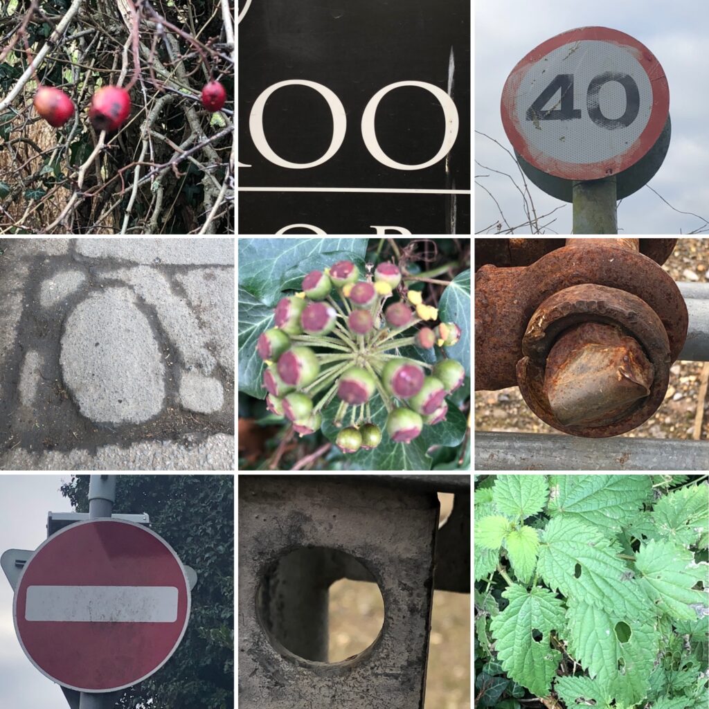 9 images with circles